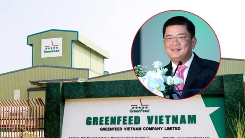 Dai gia nao dung sau GreenFeed Viet Nam no “khung” 5.000 ty?