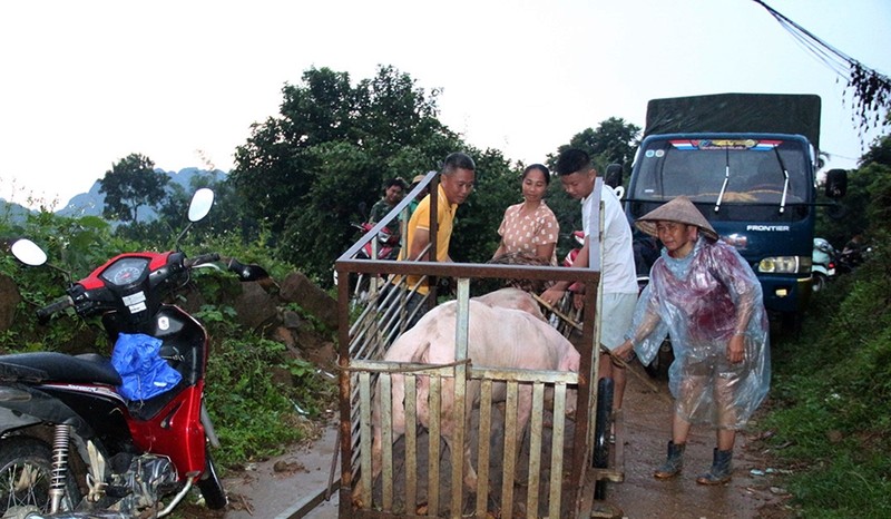 Hoa Binh: Di doi khan cap 8 ho dan o Kim Boi