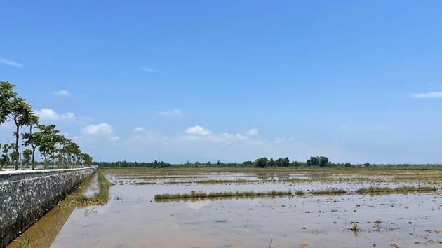 Ho so Cty Khuong Nguyen dau tu KDT gan 1.000 ty o Quang Binh