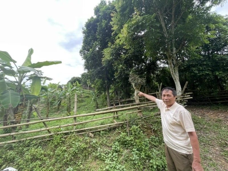 Nguoi dan keu cuu vi bong dung mat dat, TP Hoa Binh noi gi?-Hinh-4