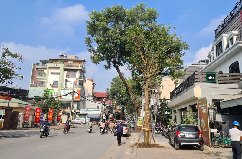 Ha Noi: Nhieu co so kinh doanh lup xup, lan chiem via he o Dai Mo-Hinh-11