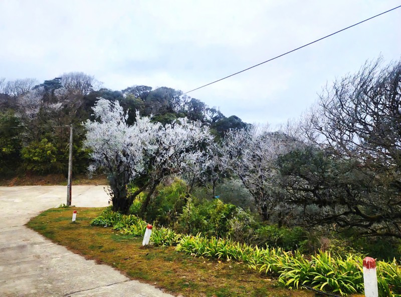 Hinh anh bang gia ky thu o Cao Bang, Yen Bai, Lao Cai