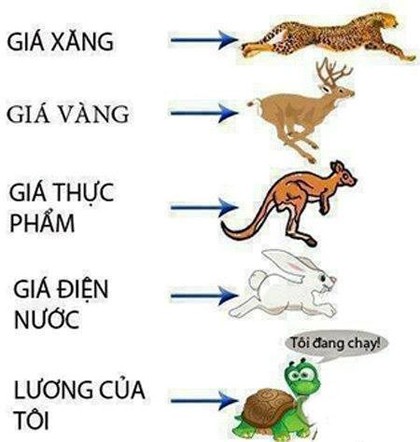 Xang tang gia ky luc, dan mang lai dua nhau che anh-Hinh-7