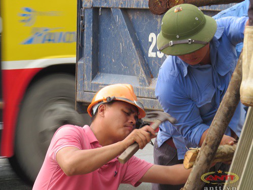 Con duong dep nhat Ha Noi da co hang cay moi-Hinh-8