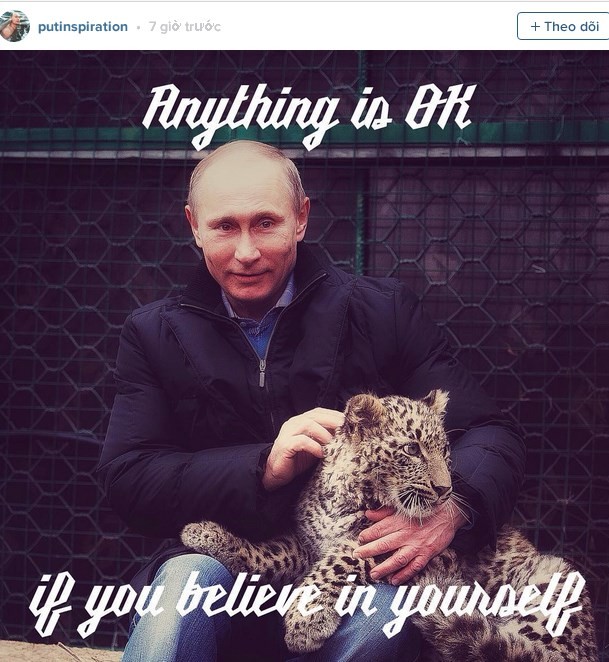 An tuong anh doi thuong cua Tong thong Putin tren Instagram