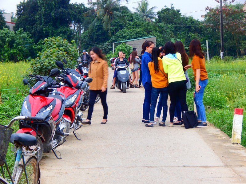 Dong hoa cai vua phun thuoc, ban tre vo tu xuong chup anh-Hinh-3