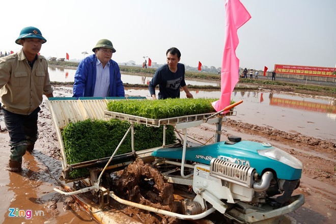 Bi thu Ha Noi Hoang Trung Hai di cay dau nam-Hinh-3