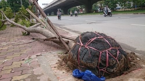 Ha Noi se cu can bo di hoc trong cay xanh o Singapore va TQ