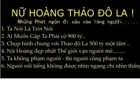 Thanh no Thao Do-la bi bat gap di phu ban com-Hinh-9