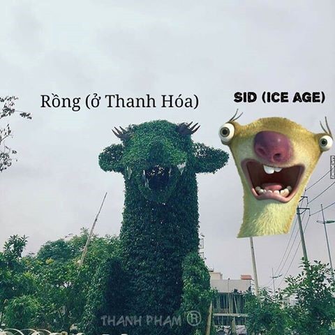 Sau rong Hai Phong, den luot rong Thanh Hoa duoc che anh-Hinh-4