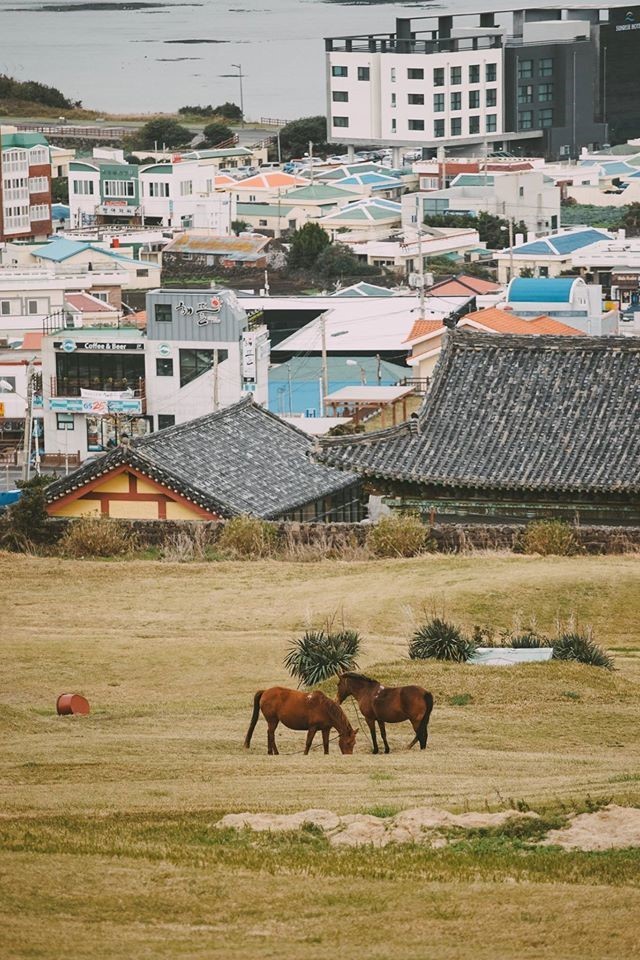 Kham pha Jeju - hon dao thien duong-Hinh-15