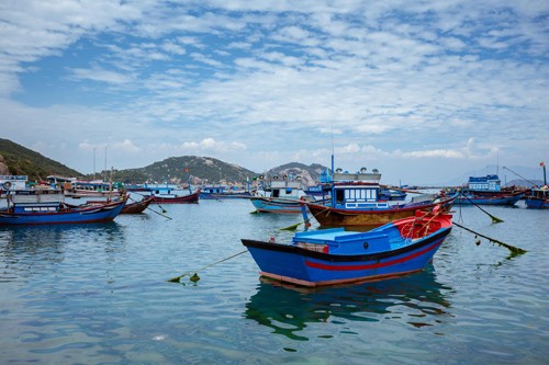 Check-in ngay doi co lau bat ngan o Binh Ba