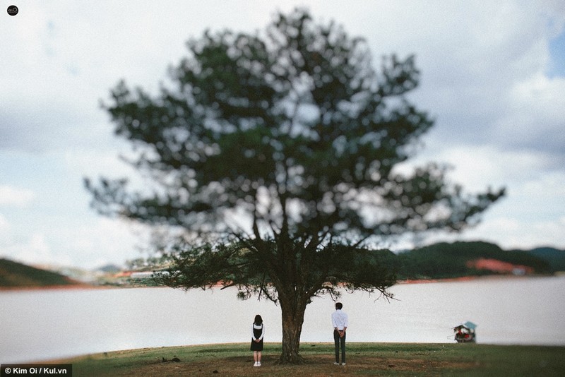 Ngam canh Da Lat lung linh cung cap doi 