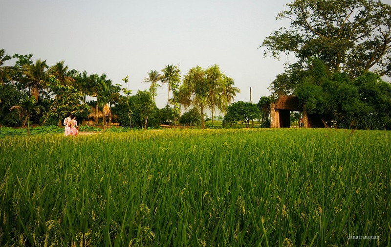 Nhung ngoi lang co thanh binh hut dan phuot nhat tai mien Bac-Hinh-4