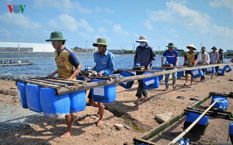 Kho tin: Nuoi tom mot vu thanh luon ty phu-Hinh-12