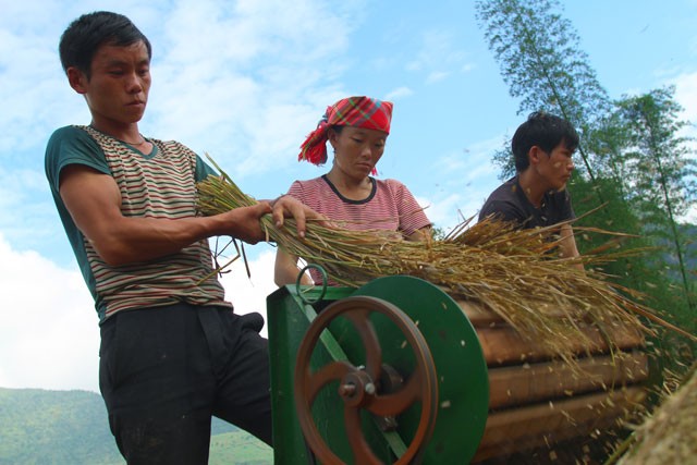 Mua vang Tu Le dep ngo ngang khien ban muon &quot;quay&quot; luon-Hinh-3