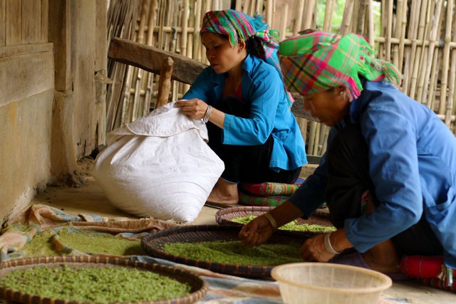 Mua vang Tu Le dep ngo ngang khien ban muon &quot;quay&quot; luon-Hinh-4