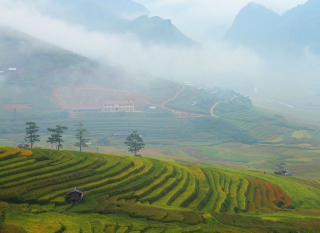 Mua vang Tu Le dep ngo ngang khien ban muon &quot;quay&quot; luon-Hinh-8