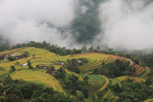 Ve dep kho cuong cua ruong bac thang o Hoang Su Phi-Hinh-4