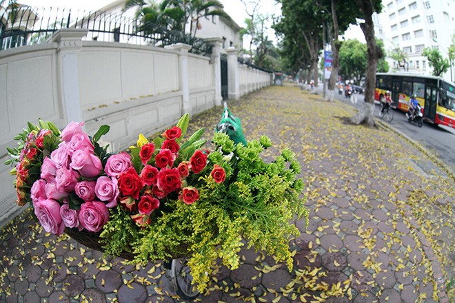 Co mot Ha Noi mua thu khien ban ngan ngo quen loi ve-Hinh-6