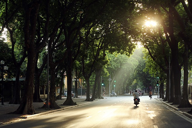 Co mot Ha Noi mua thu khien ban ngan ngo quen loi ve