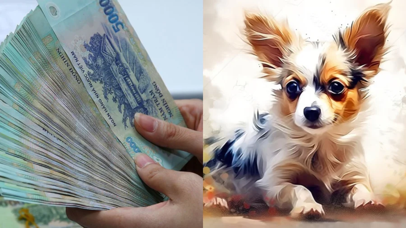 Top con giáp Thần Tài chiếu mệnh, giàu có, may mắn nhất năm 2024 - Hình 7 Top con giap Than Tai chieu menh, giau co, may man nhat nam 2024-Hinh-7