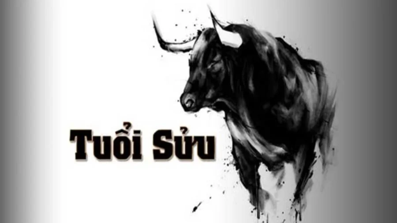 Thái Tuế 2024: 4 con giáp vận trình xuống dốc, họa hại rình rập - Hình 4 Thai Tue 2024: 4 con giap van trinh xuong doc, hoa hai rinh rap-Hinh-4
