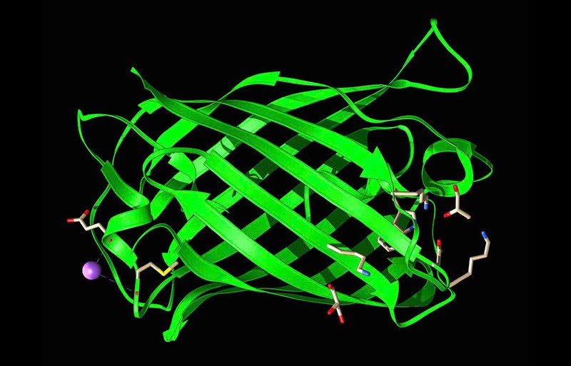 Nong: Mo hinh AI moi tao ra cac protein chua tung co trong tu nhien-Hinh-6