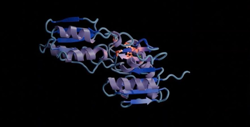 Nong: Mo hinh AI moi tao ra cac protein chua tung co trong tu nhien-Hinh-7