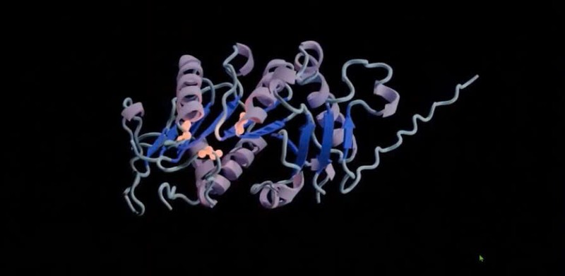 Nong: Mo hinh AI moi tao ra cac protein chua tung co trong tu nhien-Hinh-8