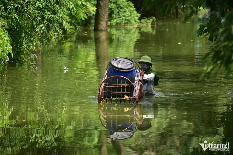 Cuoc song tai xa ngoai thanh Ha Noi 3 ngay chim trong bien nuoc-Hinh-8