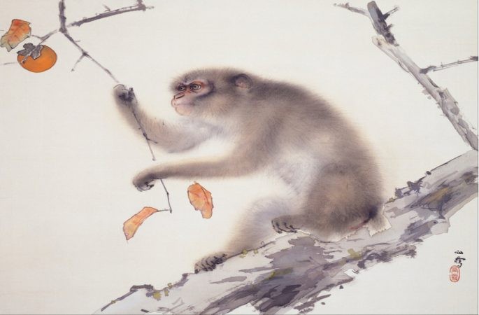 10 ngay toi, 4 tuoi dat dinh su nghiep, cuoi thang giau vo ket-Hinh-4
