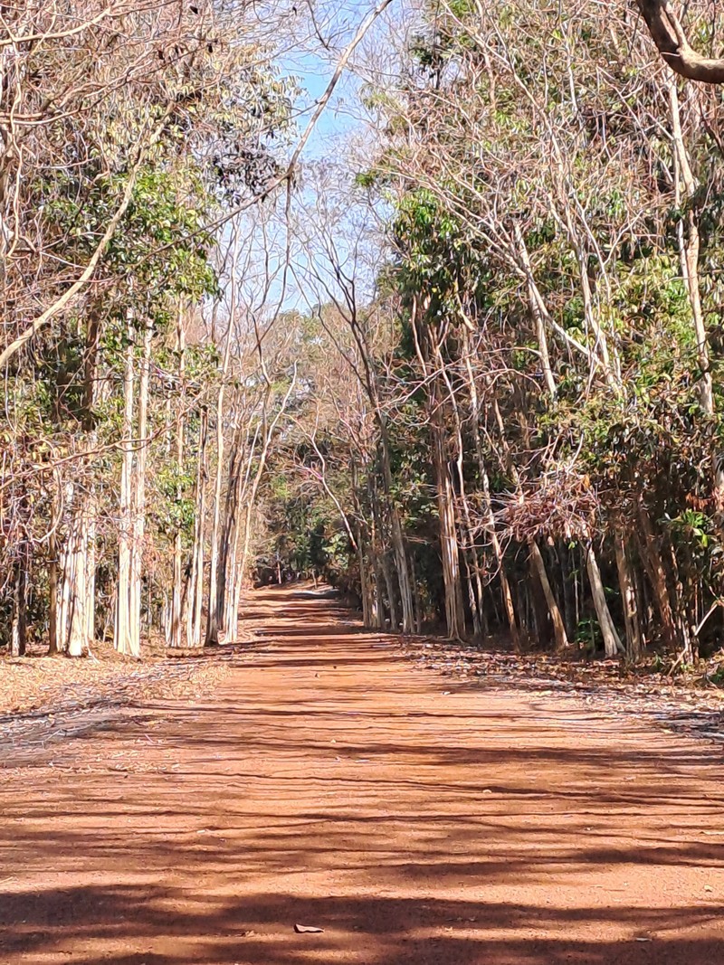 Dong Nai: Trien khai nhieu bien phap ung pho kho han