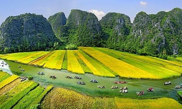 Ngam Tam Coc mua vang ruc ro dep nhu tranh