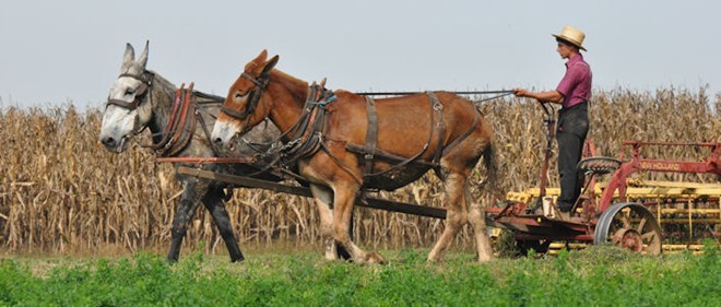 Nguoi Amish - cong dong xa lanh the gioi hien dai o My-Hinh-8