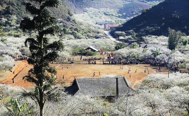 Cac chieu khuyen mai khung ngay Valentine 2015-Hinh-2