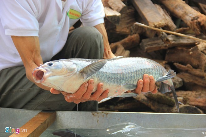 Lang Vu Dai dieu dung vi ca kho kem, ban pha gia-Hinh-2