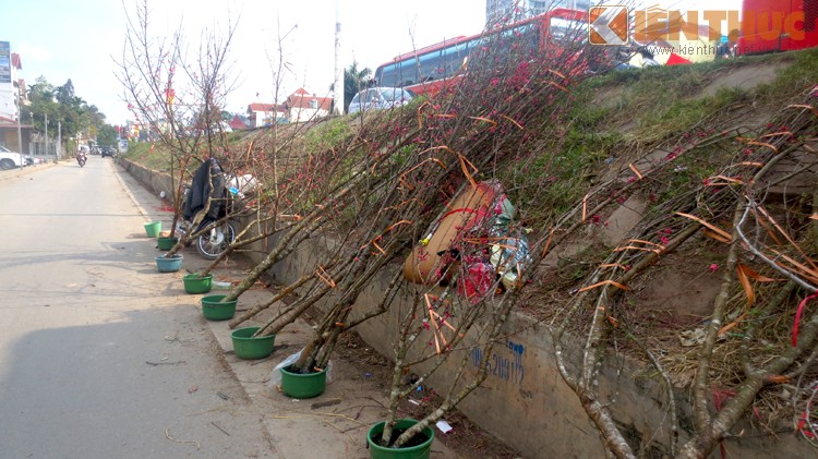 Nguoi dan Ha Noi lung hoa le choi thang Gieng-Hinh-11