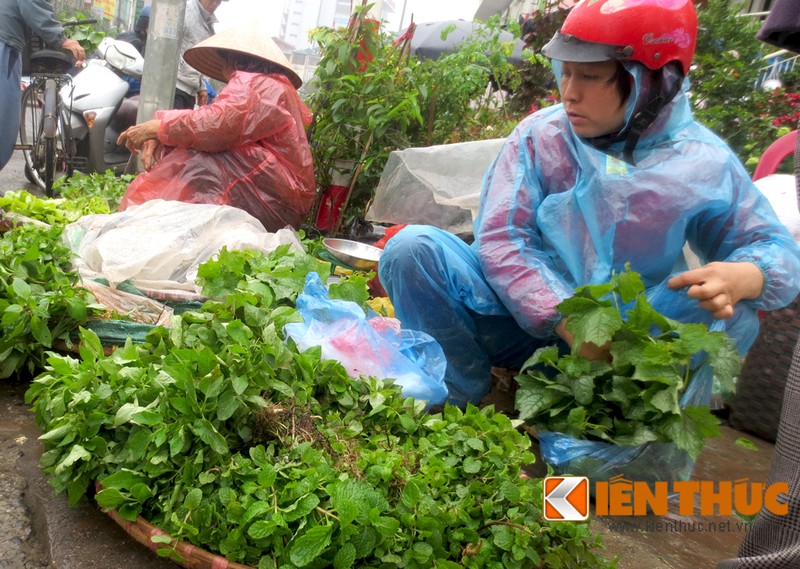 Di cho phien doc, di gia beo nhat Ha Noi-Hinh-5