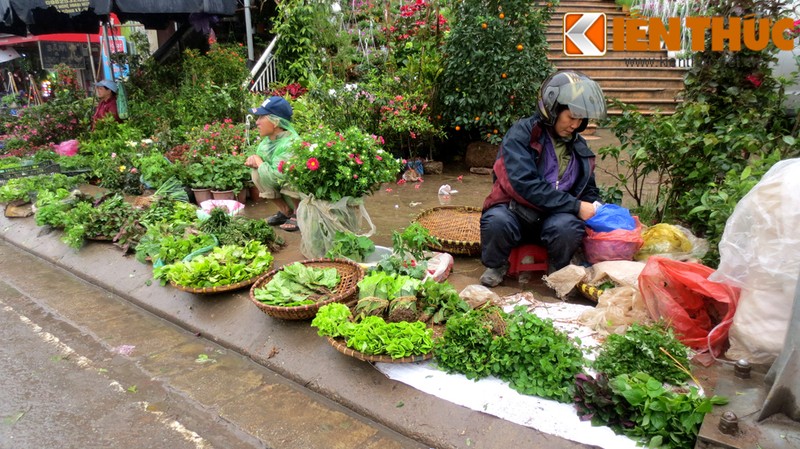 Di cho phien doc, di gia beo nhat Ha Noi