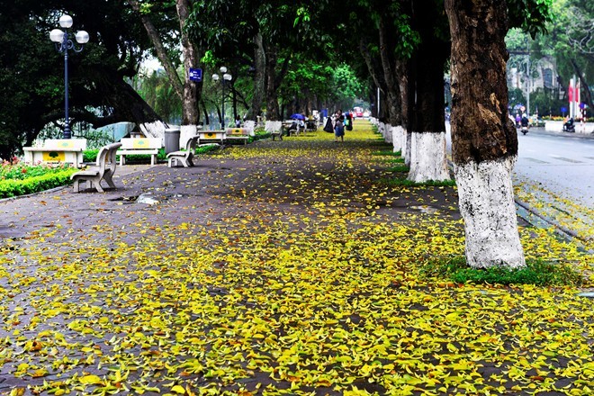 La vang nhuom Ha Noi pho dep den nao long