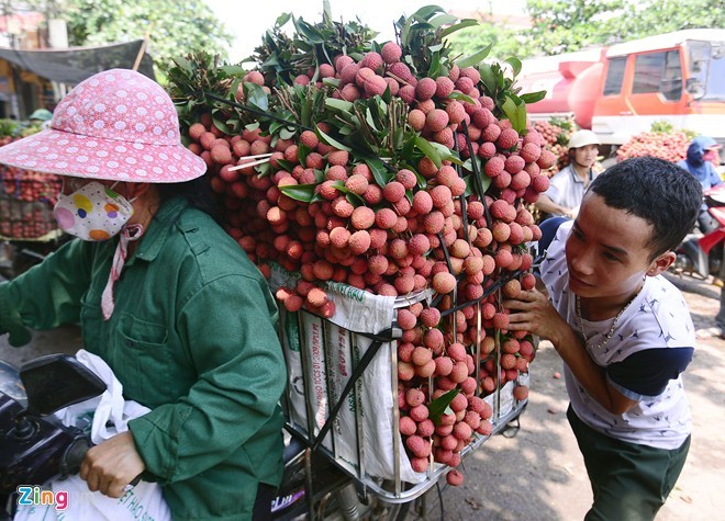 Cảnh ùn tác, chen chúc ỏ cho vai thieu lon nhat Viet Nam-Hinh-6