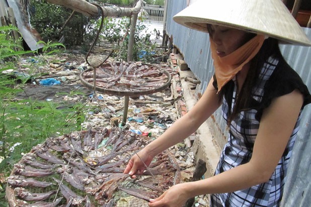 Hai ra tien voi nhung thuy quai hiem la o mien Tay-Hinh-2