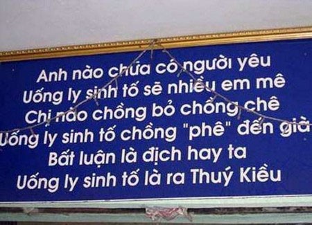 “Choang” voi nhung bien quang cao chi co o Viet Nam-Hinh-10