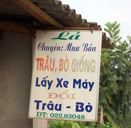 “Choang” voi nhung bien quang cao chi co o Viet Nam-Hinh-12