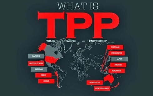 Nhung dieu it biet ve hiep dinh the ky TPP-Hinh-3