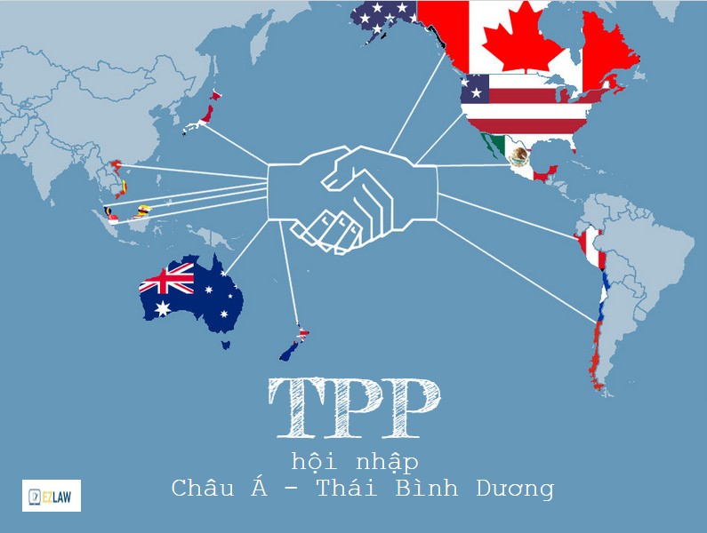 Nganh nao huong loi khi TPP the ky duoc thong qua?-Hinh-5