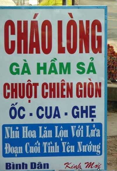 Khong the nhin cuoi voi bien quang cao “vo doi” o VN-Hinh-5