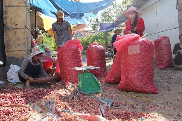 Toi Ly Son chay hang lay dau 300 tan e o Ha Noi?-Hinh-4