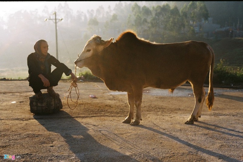 Nang dat vang Ha Giang nhung ngay dau dong-Hinh-11